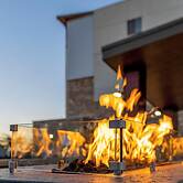 Sonesta Simply Suites Avondale