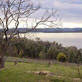 Reflections Lake Burrendong - Holiday Park