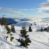 Holiday Home in Eberndorf Near Petzen Ski Area