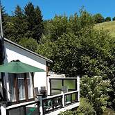Lovely Apartment in Elpe near Forest