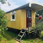 Gypsy Caravan in Weideblick With Farm Animals