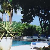 Captivating 3-bed Villa in Montego Bay