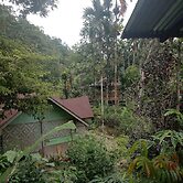 Green Lodge Tangkahan