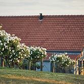 Wandin Valley Estate