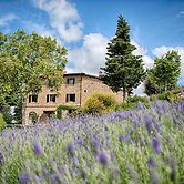 Luxury Chianti With two Bedrooms