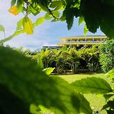 Allenview Guesthouse