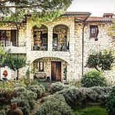 Girasole-rolling Hills, Sunflowersfamily Friendly