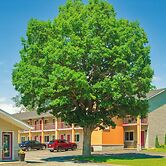 Super 8 by Wyndham Kingston