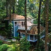 The Tall Trees Munnar