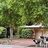 The Noble Grape Guesthouse