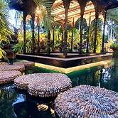 Baan Habeebee Resort