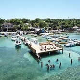 Splash Inn Dive Resort & Villas