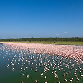 Lake Elmenteita Serena Camp