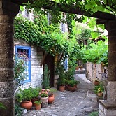 Saxonis Houses
