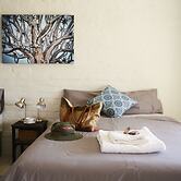 Solitaire Lodge