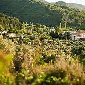 Natur-Med Hot Springs and Health Resort