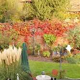 Business Pension Gasper