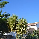 Cozy Rural Tourism Accommodation in Huetor Spain