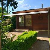 Chalet in Veluwe Near De Grote Ark