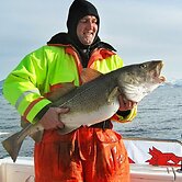 4 Person Holiday Home in Bø I Vesterålen