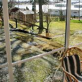 4 Person Holiday Home in Hammar