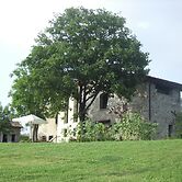 Holiday Home in Imola With Forest & Pool