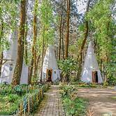 RedDoorz @ Apache Camp