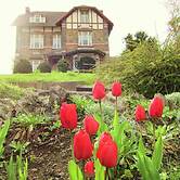 A Beautiful Belle Epoque Villa in the Heart of Hamoir
