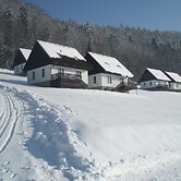 Mansion in Starkov Near Acitvities