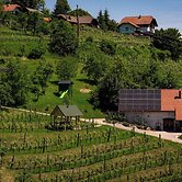 Vineyard cottage Škatlar 3