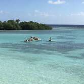 Beach Front Paradise