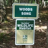 Woods Song - Natures Promise