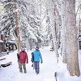 3 Bedroom Mountain Residence in the Heart of Aspen With Amenities Incl