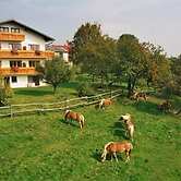 Wolf-Hof