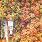 Treetop Retreat