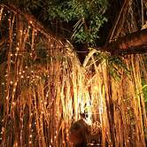 Banyan Tree Resort - Campsite