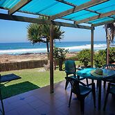 Southern Comfort - Starfish