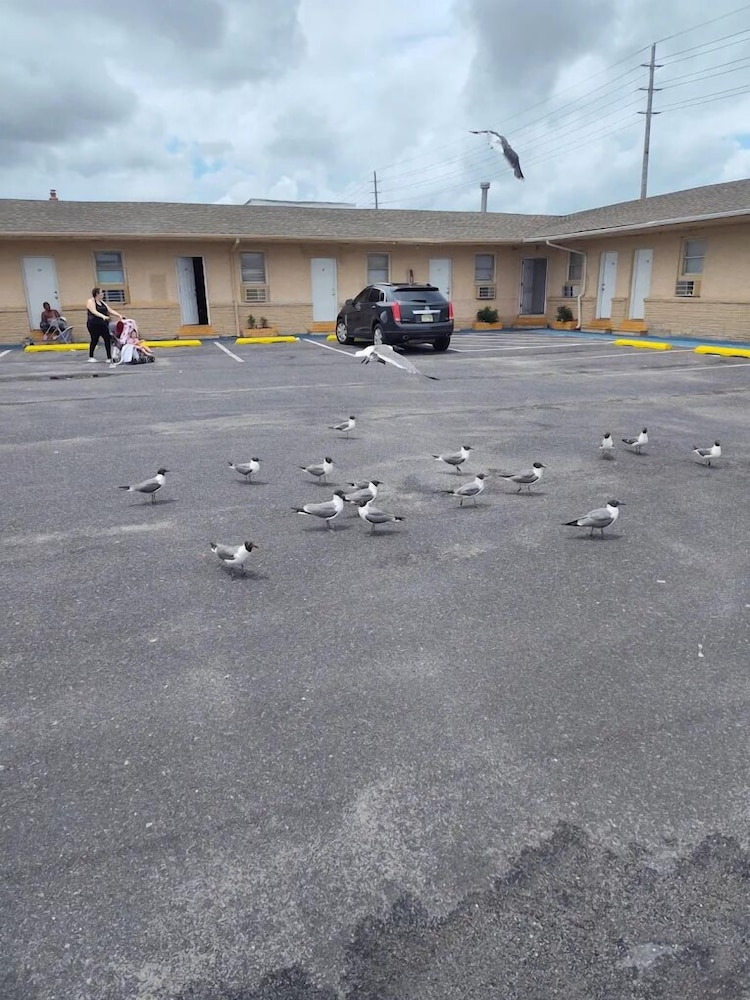 OYO Economy Inn