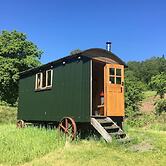 Cosy Woodland off Grid Shepherds Hut - Rowan