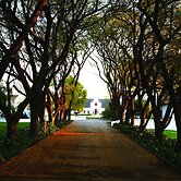 Kievits Kroon Gauteng Wine Estate