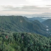 Bellavista Cloud Forest Reserve & Lodge