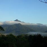 The Epiphyte Bed & Breakfast