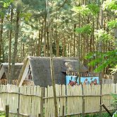 Nyungu Yamawe Forest Park