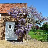 Wisteria Cottage