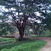 Family Villa is a hut Style Accommodation