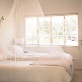 Oneroa Escape - Bell's Cottage