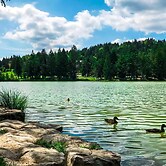 House Fortin With Sauna Near Bloke Lake
