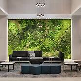 Embassy Suites by Hilton Atlanta Midtown