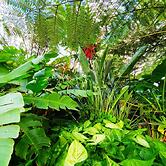 2BR Food Drink Hub Gym Pool Views Roof Terrace