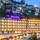 The Orchid Shimla